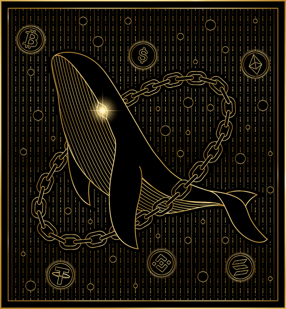 omniwhale Image
